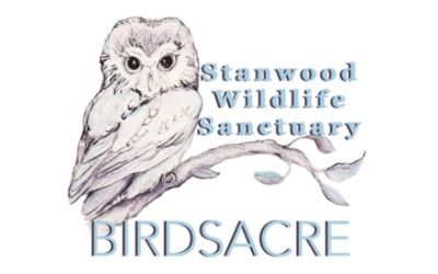 Stanwood Wildlife Sanctuary