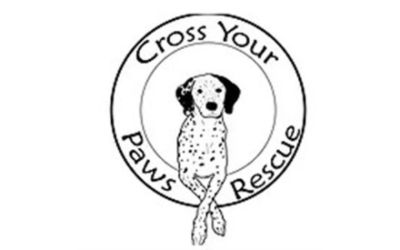 Cross Your Paws Rescue