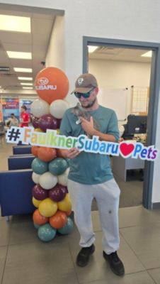 Loving Care Cat Adoption