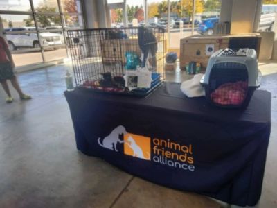 Dellenbach Subaru Loves Pets