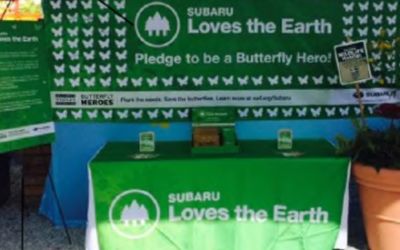 Doing Our Part to Save the Butterflies - Hanlees Subaru