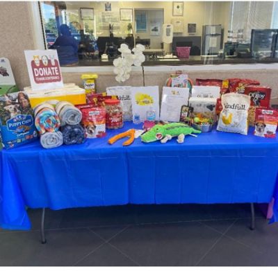 Pet Supply Donations with Subaru and Sunshine Foundation!