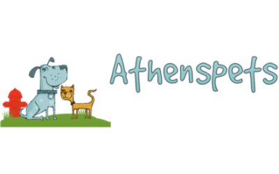 partnerCompanyName