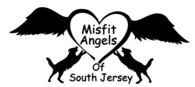 Misfit Angels of South Jersey