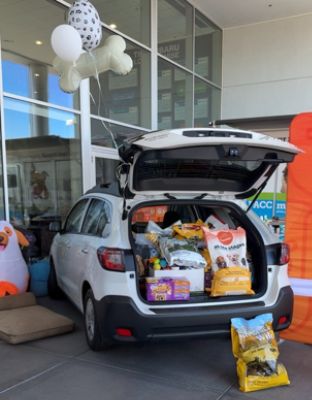 Tucson Subaru Brings the Community Together to Make A Dog’s Day