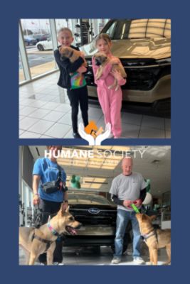 Dogs at Your Dealer - March 15, 2025