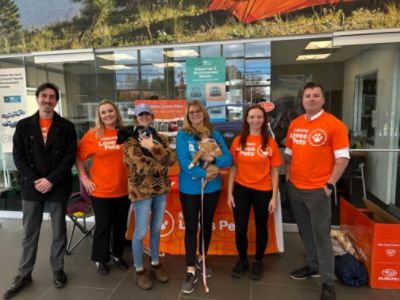 Dog Adoption Record!