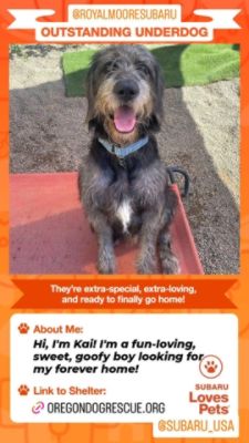 Kai Finds a Second Chance, thanks to Subaru!