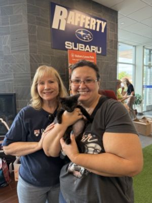 So Many Pets Adopted!