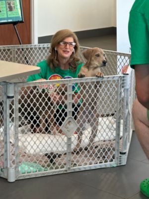 Kindness Day for the furry friends of the SPCA-HC!