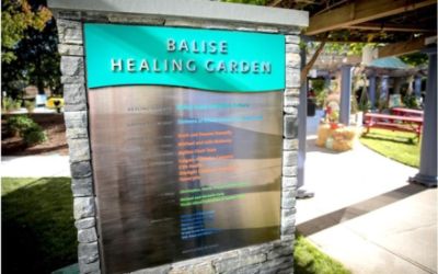 Balise Healing Garden @ Hasbro Children's Hospital
