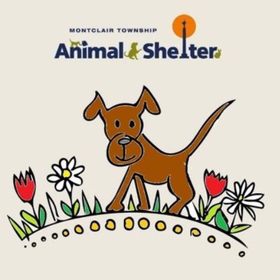 Montclair Township Animal Shelter