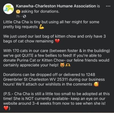 Helping Kittens in Need