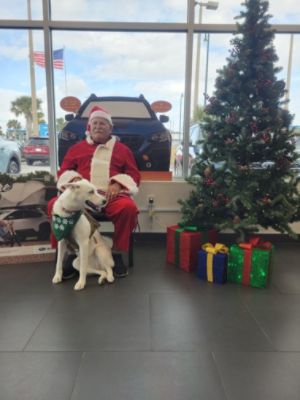Pet Photos with Santa