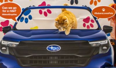 Making a Difference Together: Chad Mahoney and Subaru Loves Pets
