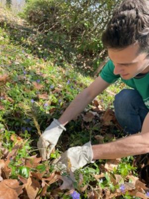 COLONIAL COUPLE PLANTS TREES ON EARTH DAY