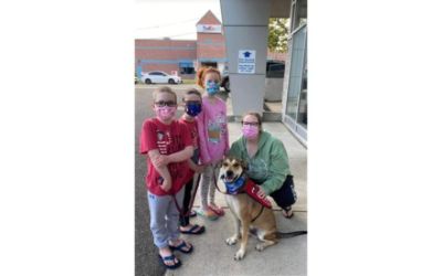 Subaru Stamford Loves Pets x Lucky Dog Refuge