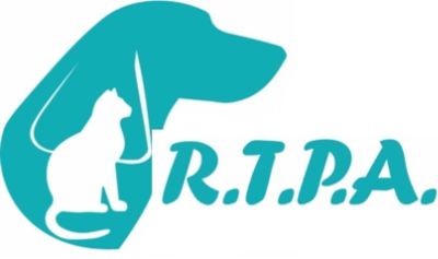 Subaru Loves Pets Adoption Month