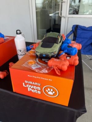 Gone To the Dogs Rescue and Subaru Pacific