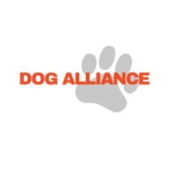 partnerCompanyName