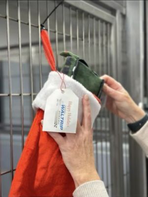 No Pet Forgotten: A Christmas Promise from Darrell Waltrip Subaru