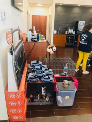 Subaru Loves Pets x Pioneers for Animal Welfare Society