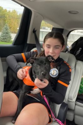 Brewster Finds his Forever Home at Subaru Loves Pets Adoption Day