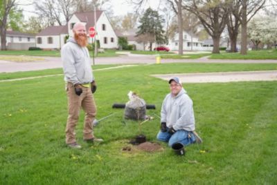 Trees for Papillion La Vista Schools