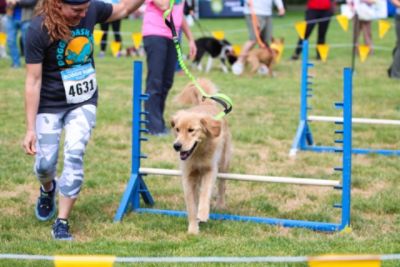 Our Tails are Wagging with Gratitude