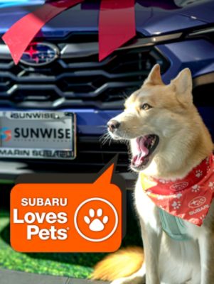 Marin Subaru Loves Pets and Supports Marin Humane