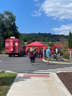 Mitchell Subaru Hosts Pet Adoption with Dog Star Resuce