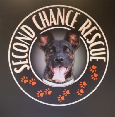 Natalie's Second Chance Dog Shelter and Rescue