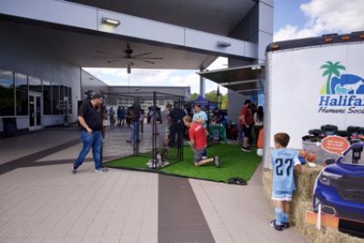 Fall in Love with a Pet: Halifax Humane Society and Subaru of Daytona Host Free Adoption Event”
