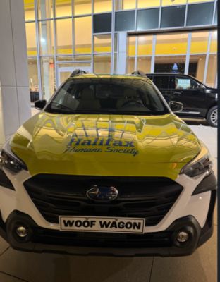 Subaru of Daytona Donates a Subaru Outback to Halifax Humane Society