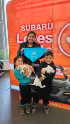 Finding loving homes for pets with Subaru