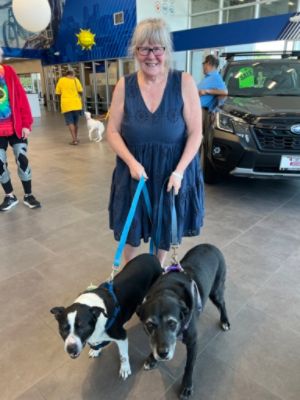 Adoption Event at Evergreen Park Subaru  August 2, 2025