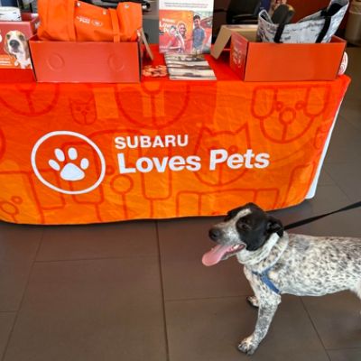 Subaru Loves Pets at Monadnock Humane Society! 