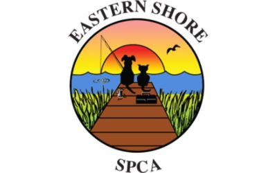 SPCA Eastern Shore