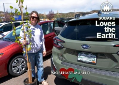 Trees for Southwest Colorado