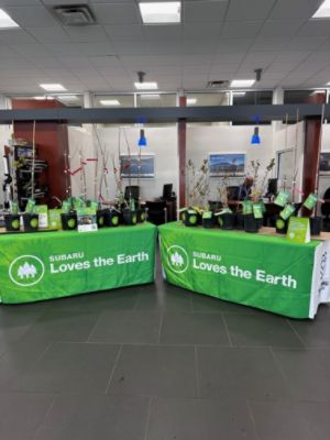 Partnerships for Sustainability: Arbor Day Foundation and Turning Broken Bats into Blooming Futures