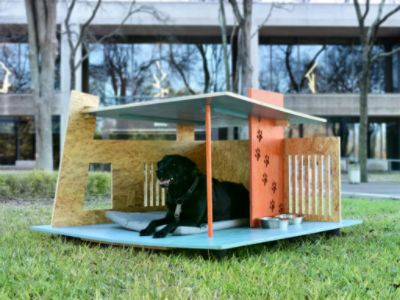 Claws & Paws Construction