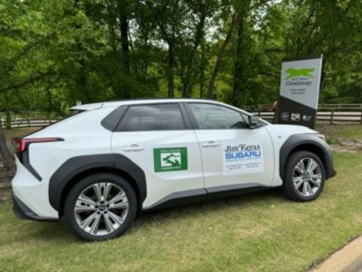 Making Strides Towards Sustainability