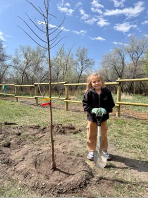 American Fork Arbor Day