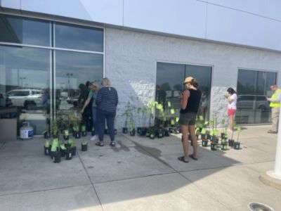 Rooting Our Community in Green