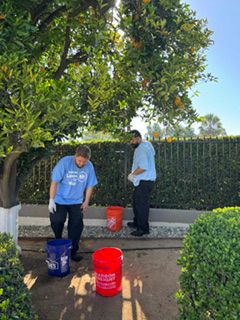 🍊Giving Back, One Orange at a Time🍊