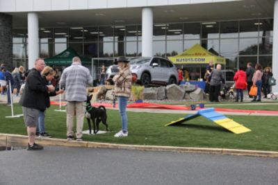 A Promise Made with Love and Hope