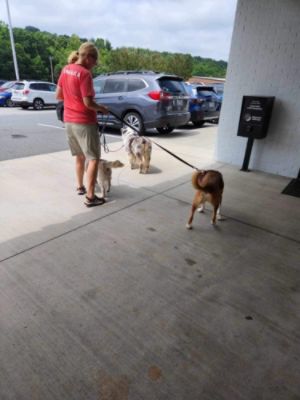 Luna Needed a Friend and Didn't Know It