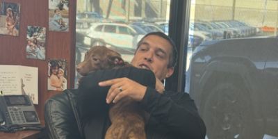  A Day Full of Love at Fitzgerald Subaru Clearwater!