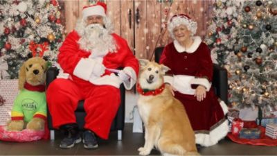 Pet Photos with Santa: A Season of Love, Healing, and Community