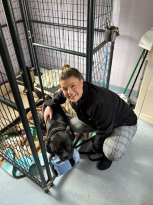 Ira Subaru Manchester Loves Pets